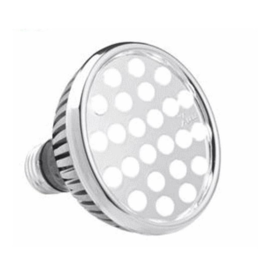 대진DMP 엑스레즈 LED PAR30 20W 전구색_이미지