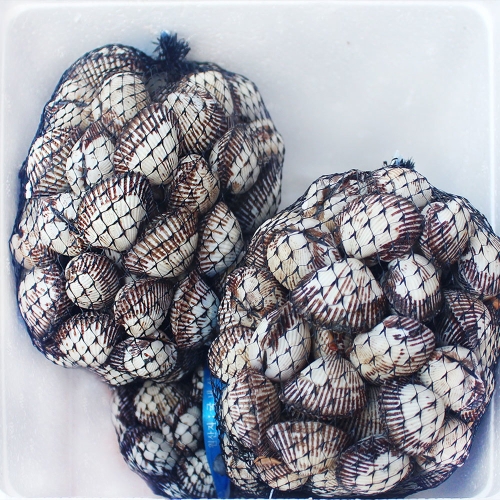 지투지샵 새꼬막 1kg 대사이즈_이미지