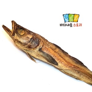 [�Ҹ�] �Ͼ� ��Ͼ�   1����