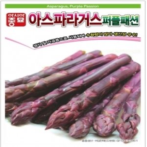 아시아종묘 자색 아스파라거스-퍼플패션 40립_이미지