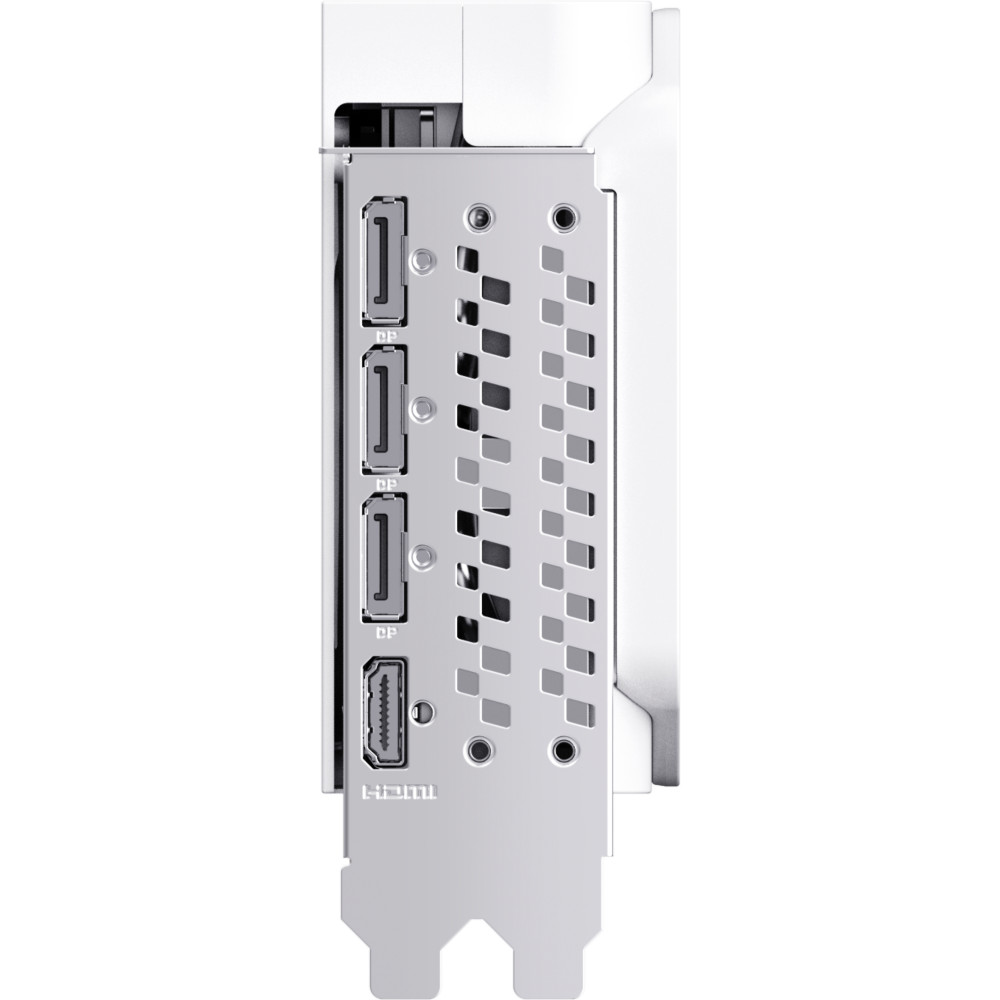 MANLI 지포스 RTX 5070 Polar Fox OC D7 12GB 인텍앤컴퍼니_이미지