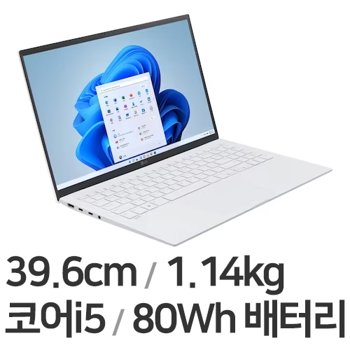 LG전자 2023 그램15 15Z90RU-GAOWK (SSD 1TB)