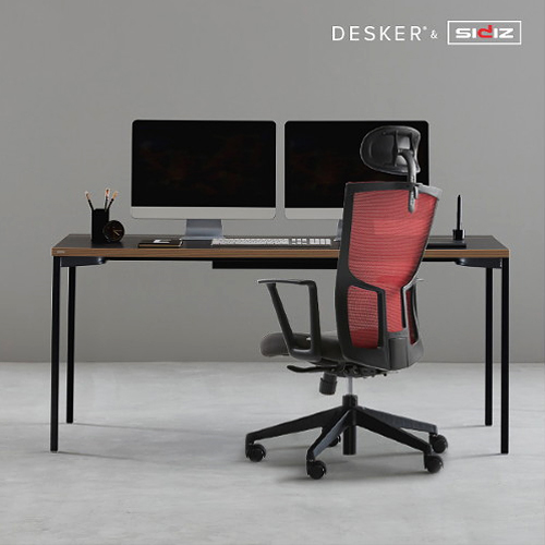 데스커 DSAD114D 컴퓨터책상 1400+시디즈 TX200HF (140x70cm)