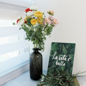 ���̴�Ȩ �̳ʽ� ��ȭ ����� ���ŧ���� 5P