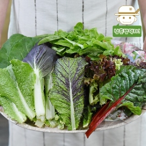  삼촌밥먹자 충주 유기농 쌈채소 1kg