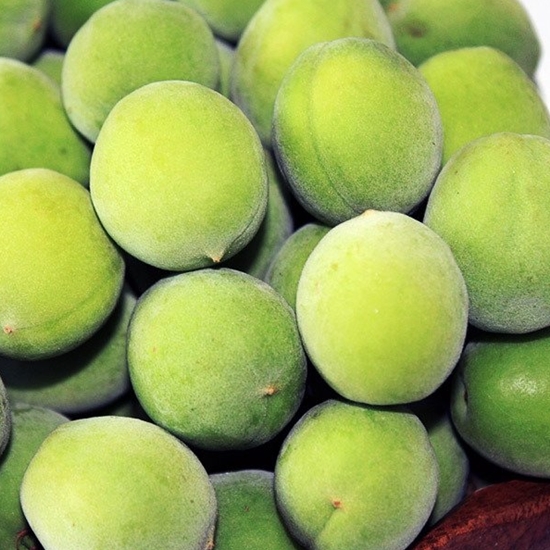 �η�û�� ��õ�Ž� �� 10kg