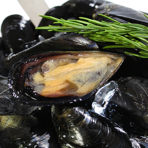 경상도수산 통영 다듬이 홍합 2kg [1개]