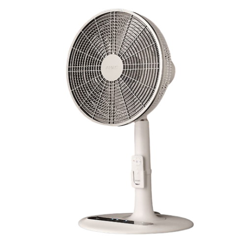 ���ڷ��� �Ƴ� ANF-14R