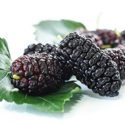 산들해 햇 오디 냉동생과 (10kg,1개)_이미지