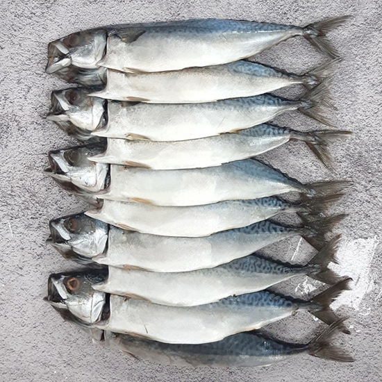 해물총각 국내산 손질 간고등어 2.1kg (1개)_이미지