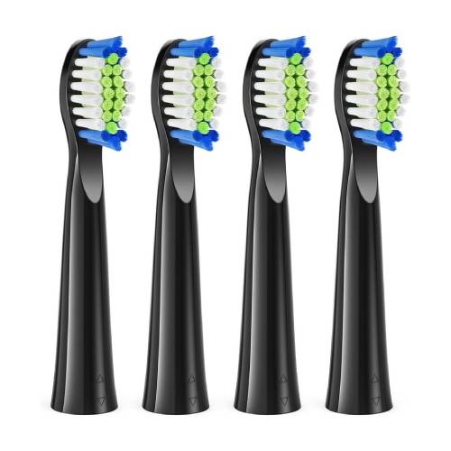 비트베이 D2 전용 칫솔모