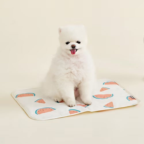데이지코퍼레이션 울리 달콤수박 쿨매트이미지입니다. 누르면 해당 게시물로 새창이동합니다.