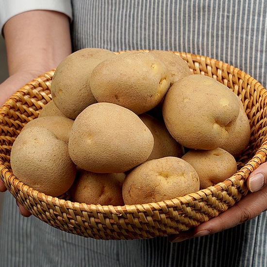 대화팜 못난이 감자 3kg (1개)_이미지