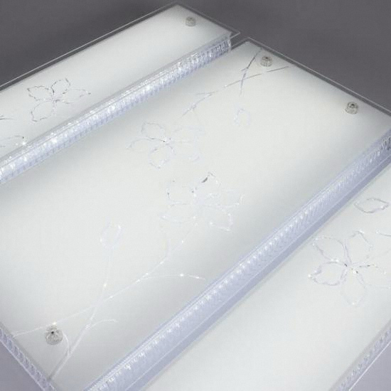 ������ LED �� ä��ȭ �����̾� �Ž�4�� 100W