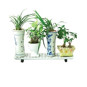 û���� �̵��� ȭ�������� 1�� 1��ȭ�������� �ö�ƽȭ�������� ����ȭ��������