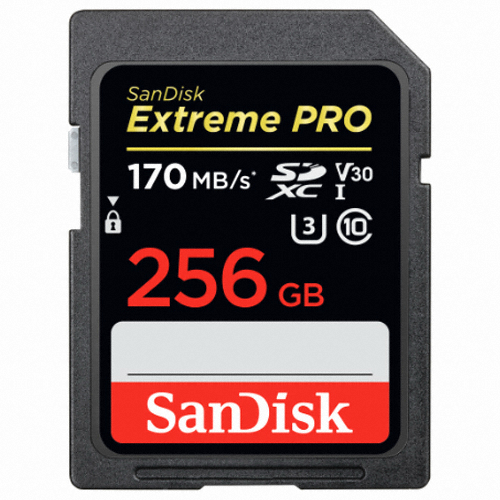 Sandisk SD Extreme Pro 2019 (256GB)