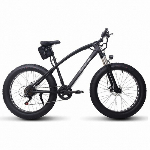 AU테크 스카닉 F100 DUAL