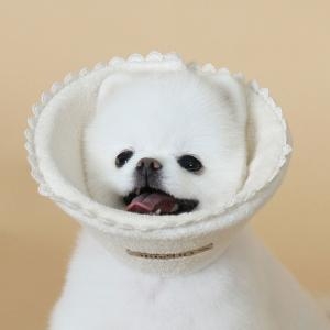  도그포즈 애견 오가닉 카라