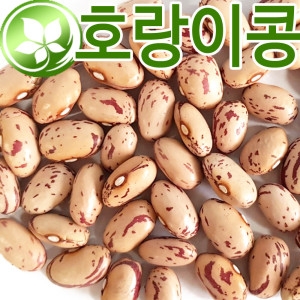 호랑이콩 1kg 호랑이강낭콩 매화콩 얼룩강낭콩