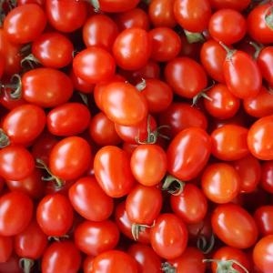 참다올 탱탱한 대추방울토마토 5kg 3-4번_이미지