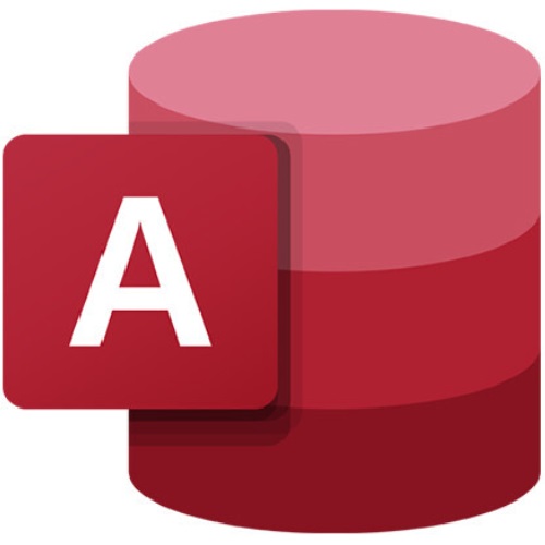 Microsoft Access LTSC 2024 (라이선스)