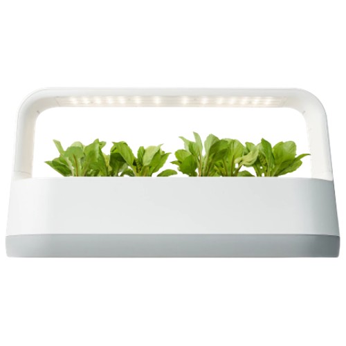 LG전자 틔운 미니 L012 (베이지)_이미지