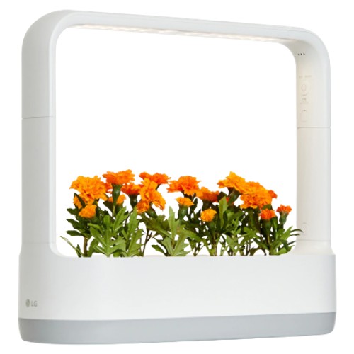 LG전자 틔운 미니 L012 (베이지)_이미지