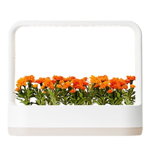 LG전자 틔운 미니 L012 (베이지)_이미지