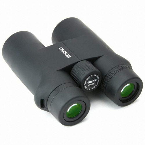 CARSON VP 10x42