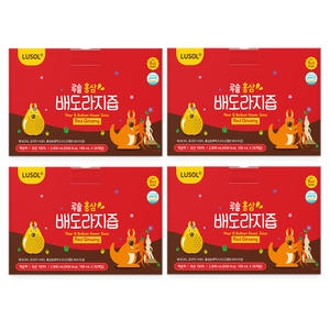 루솔 홍삼 배도라지즙 100ml (80개)