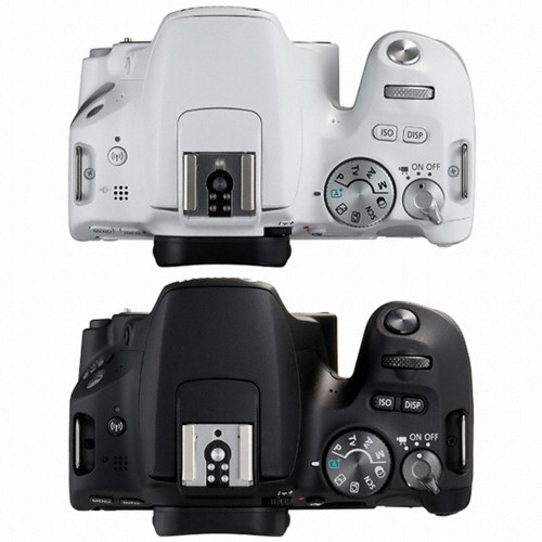 ĳ�� EOS 200D ���Ʈ