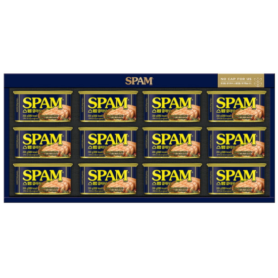 CJ제일제당 스팸 6호 (2개)