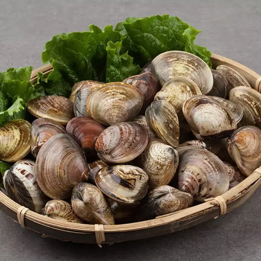 활 바지락 1kg_이미지