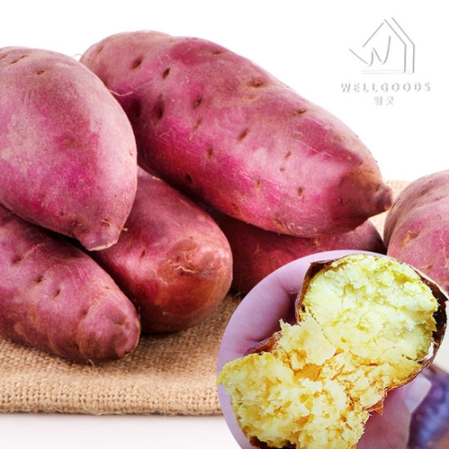 웰굿 퍽퍽한 스콘구마 25호 밤고구마 3kg 특,개당250-350g