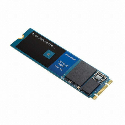 Western Digital WD Blue SN500 M.2 NVMe (500GB)_이미지