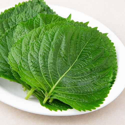 곰곰 GAP 밀양 깻잎 100g (6개)_이미지