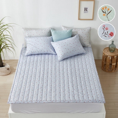 �ø����Ͽ콺 ���� ����� ħ���е�