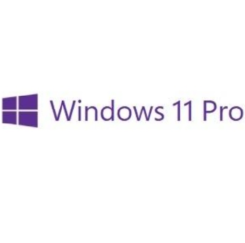 Microsoft Windows 11 Pro for workstations (DSP 64bit 한글)