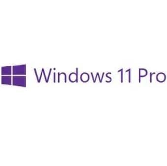 Microsoft Windows <b>11</b> Pro for workstations