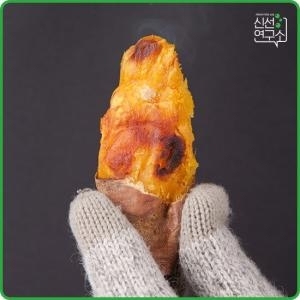 해남 꿀밤고구마 특상급 10kg
