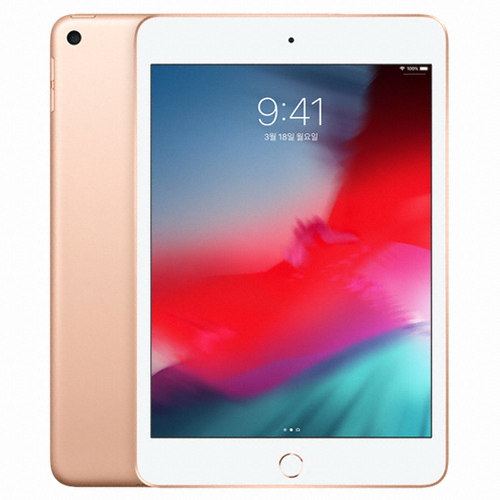 APPLE iPad mini 5세대 해외구매 (256GB)_이미지