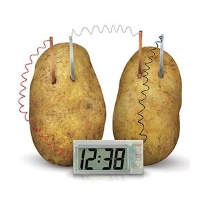 사이언스119 스쿨엔/감자시계제작키트/JS-31091/교과실험재료