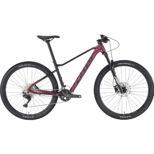 ��õ�������� ÿ�� XC 10 27.5 (2024����)