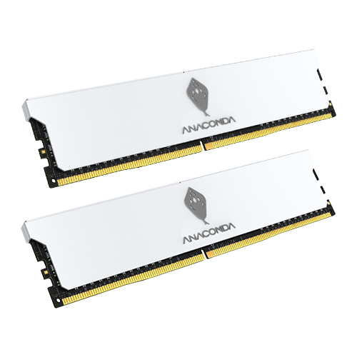 ANACOMDA DDR5-6000 CL38 KING SNAKE ȭ��Ʈ ��Ƽ����ũ