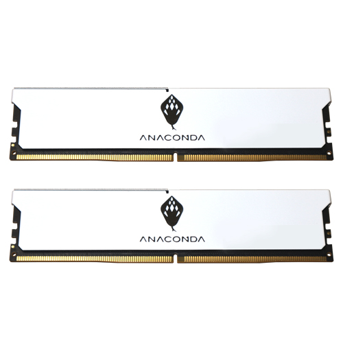 ANACOMDA DDR5-6000 CL38 KING SNAKE 화이트 얼티메이크 (32GB(16Gx2))_이미지