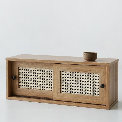 마켓비 BENTAN 낮은 2문 미니수납장_이미지