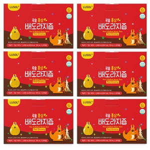 루솔 홍삼 배도라지즙 100ml (120개)