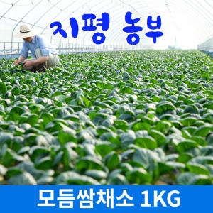  지평 농부 모듬쌈채소 1kg [1개]