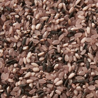 현대농산 안토시안 7분도 흑백미 5kg (20년산)