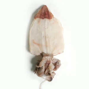 나눔푸드 오징어 장족 국내가공 대형 다리 파품1kg_이미지